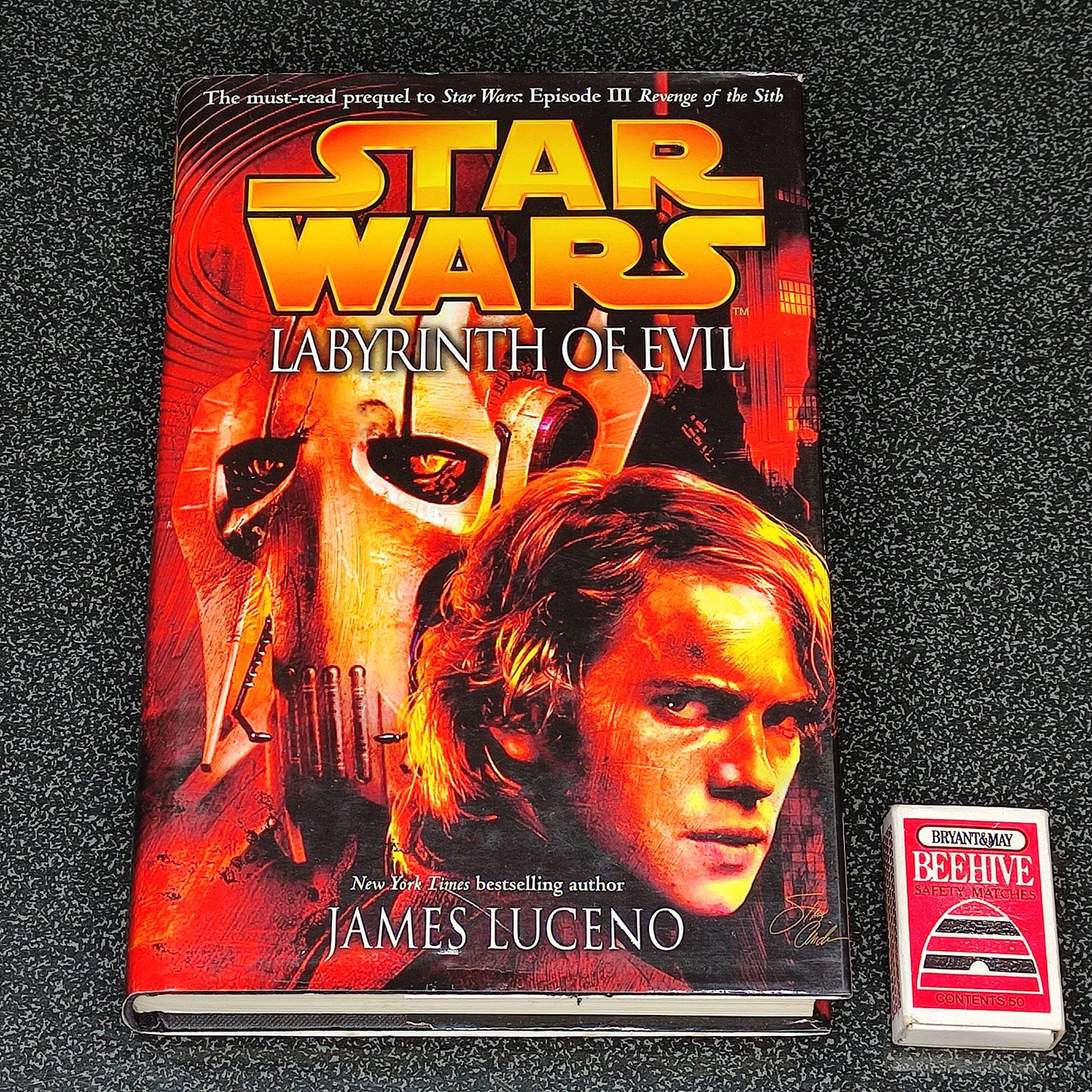 Book titled 'Labyrinth of Evil' by James Luceno with a Star Wars cover design.