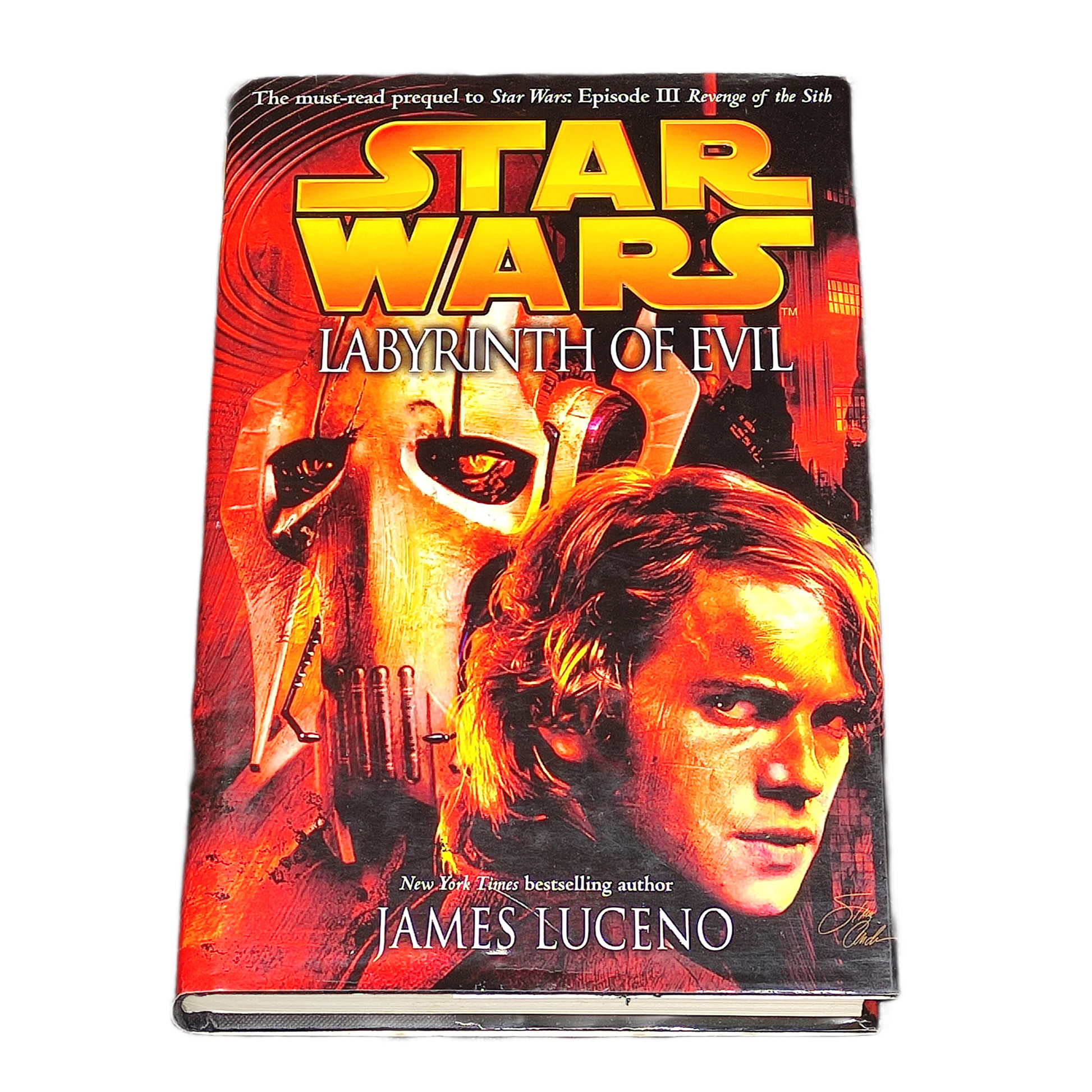 Book titled 'Labyrinth of Evil' by James Luceno with a Star Wars cover design.