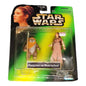 Star Wars: Princess Leia and Wicket The Ewok 3.75" Figures (1997 Kenner)